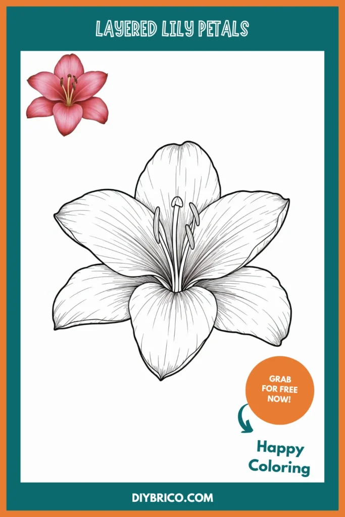 Layered Lily Petals