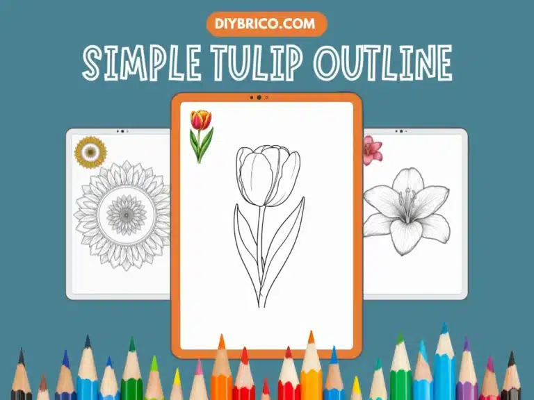 Simple Tulip Outline - Tulip Coloring Pages